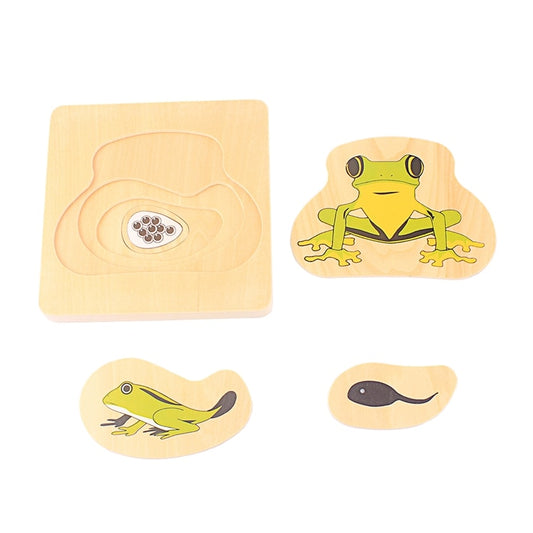 Frog Life Cycle Layered Puzzle - This Big World