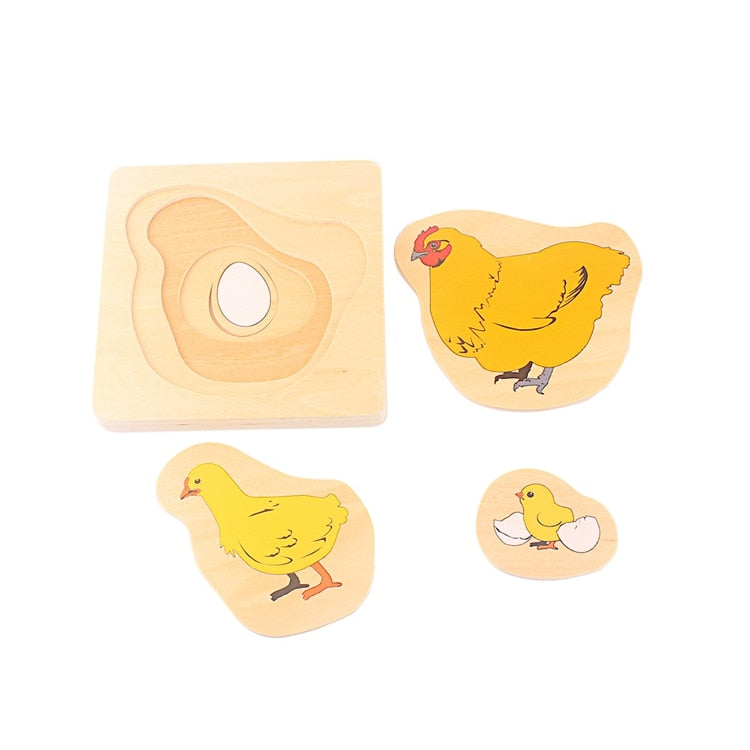 Chicken Life Cycle Layered Puzzle- This Big World